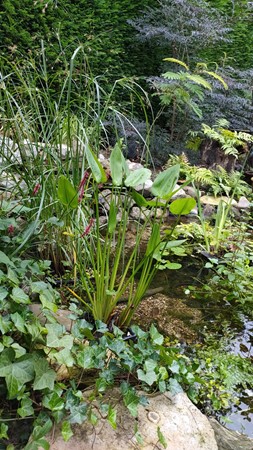 Medium property photo - Graaf de Hompeschstraat 2, 6109 AK Ohé en Laak